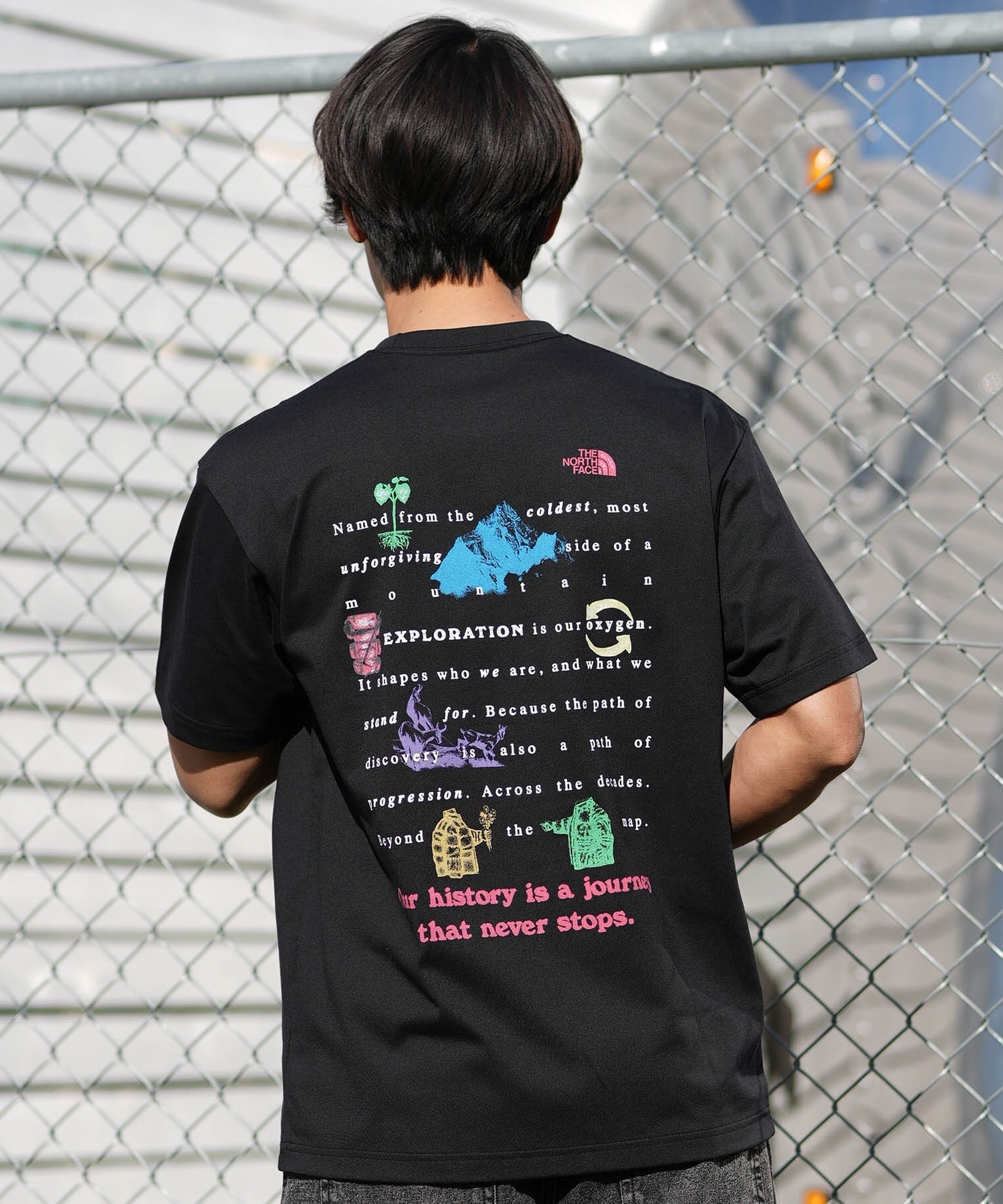 THE NORTH FACE ノースフェイス 半袖 Tシャツ メンズ バックプリント