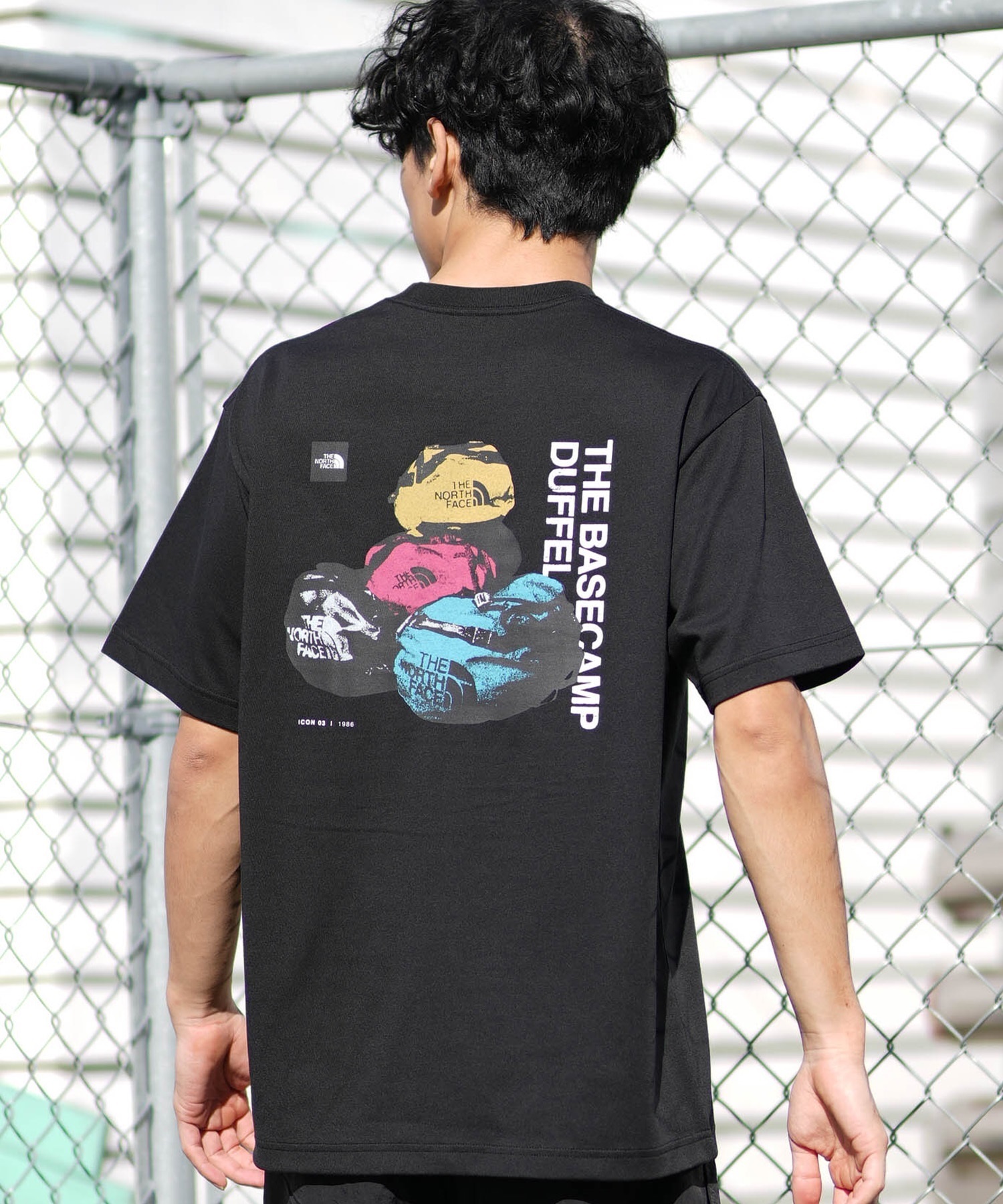 THE NORTH FACE ノースフェイス 半袖 Tシャツ メンズ バックプリント