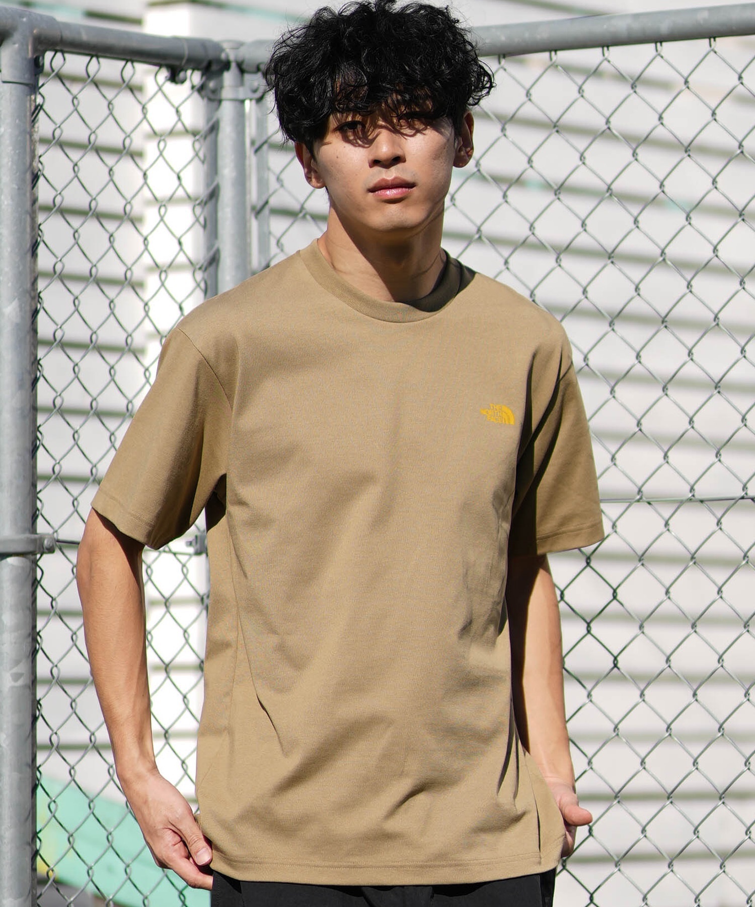 THE NORTH FACE ノースフェイス 半袖 Tシャツ メンズ バックプリント