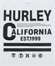 Hurley ハーレー 水着 ラッシュガード 半袖 Tシャツ メンズ 耐久 ストレッチ 水陸両用 MUSS261045(WHT-M)