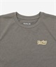 Hurley ハーレー 半袖 Tシャツ レディース ロゴ バックプリント UVカット 吸汗速乾 耐塩素 水陸両用 セットアップ対応 WASS261036 UT(BLK-M)
