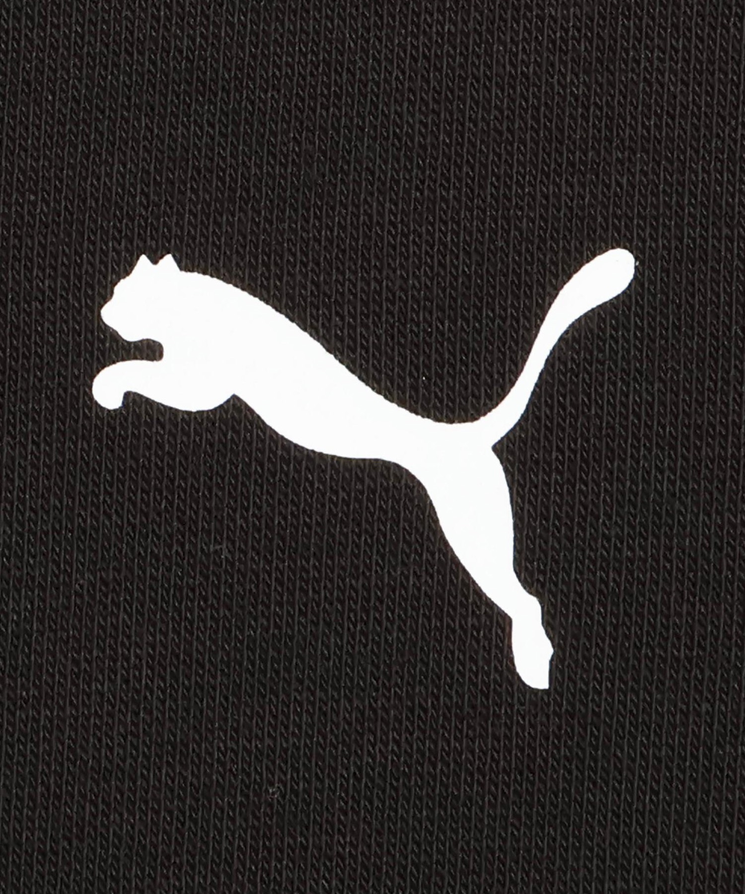 PUMA プーマ プルオーバー パーカー メンズ モンスターハンターワイルズ コラボレーション 636483(01-M)