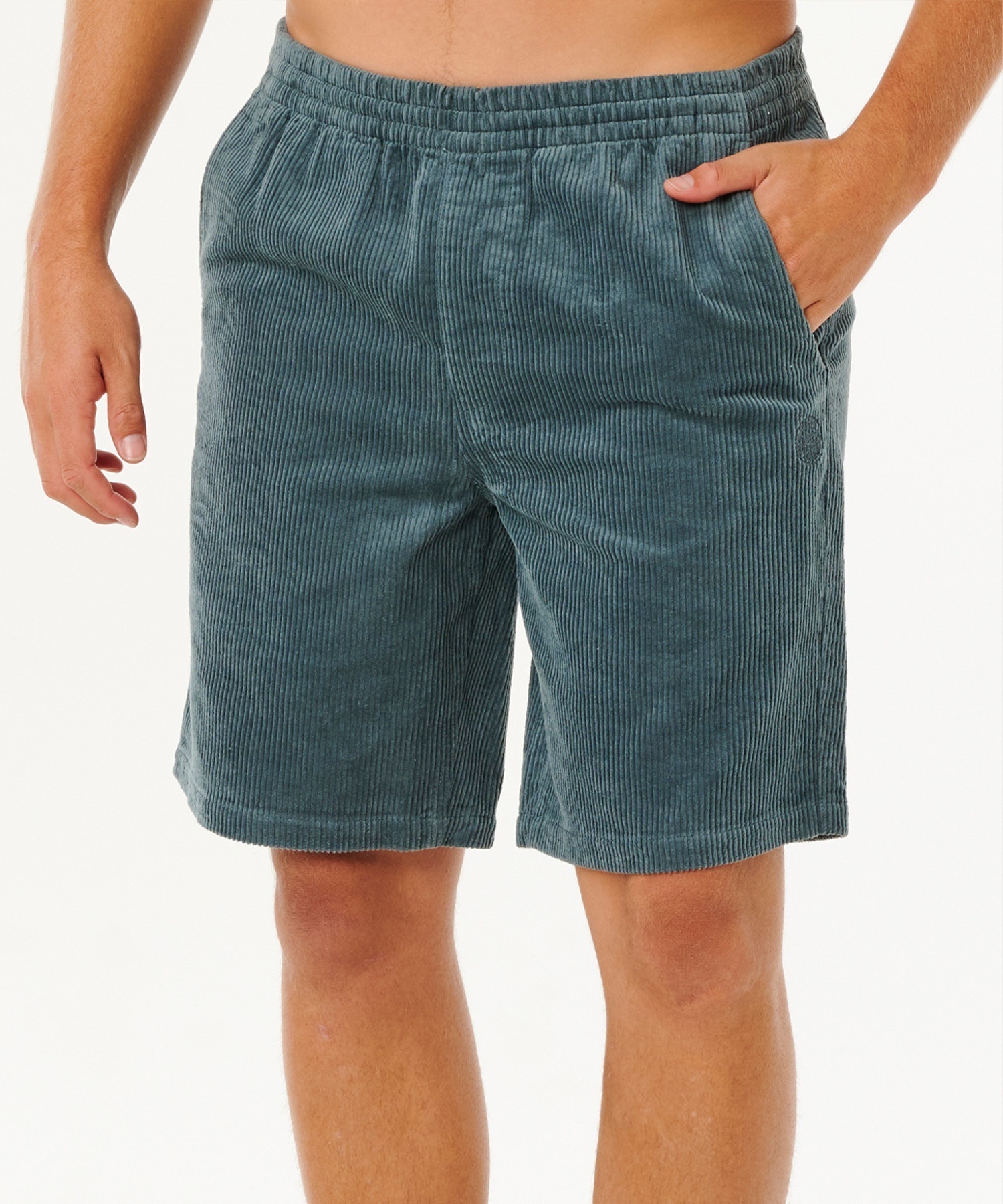 RIP CURL リップカール ハーフパンツ ショートパンツ メンズ PREMIUM