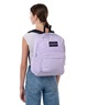 JANSPORT ジャンスポーツ バックパック リュック メンズ レディース サイドポケット SUPERBREAK PLUS JS0A4QUE5M9(LILAC-26L)