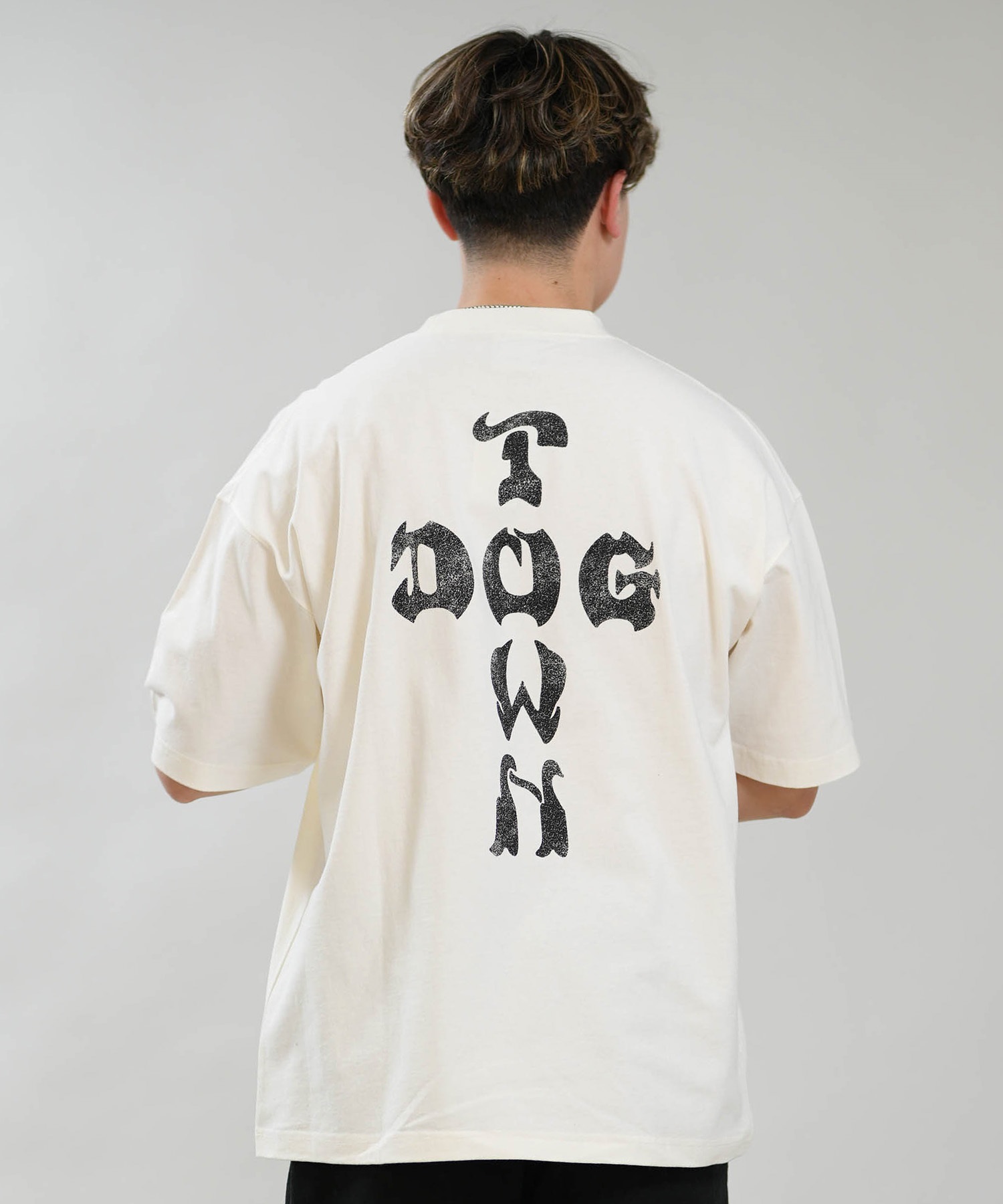 DOGTOWN ドッグタウン 半袖 Tシャツ メンズ バックプリント 古着風