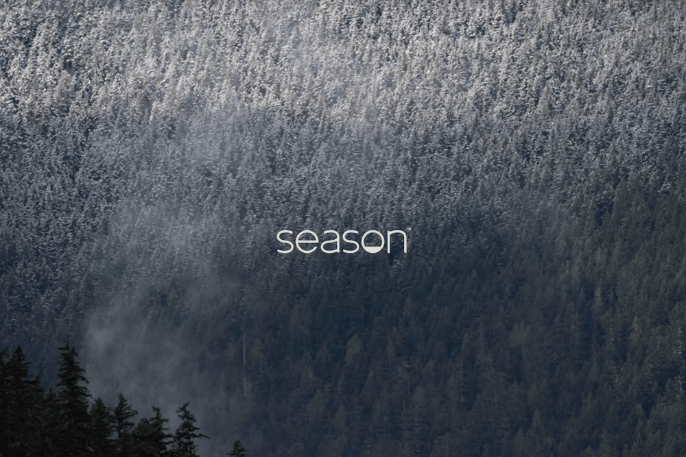 SEASON EQPT シーズンイクイップメント】 スノーボード24-25最新モデル