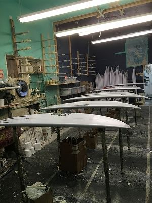 image - SHOP NEWS | ムラサキスポーツオンラインストア 通販