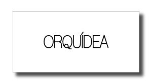 medinaOrquideaLogo - SHOP NEWS | ムラサキスポーツオンラインストア 通販