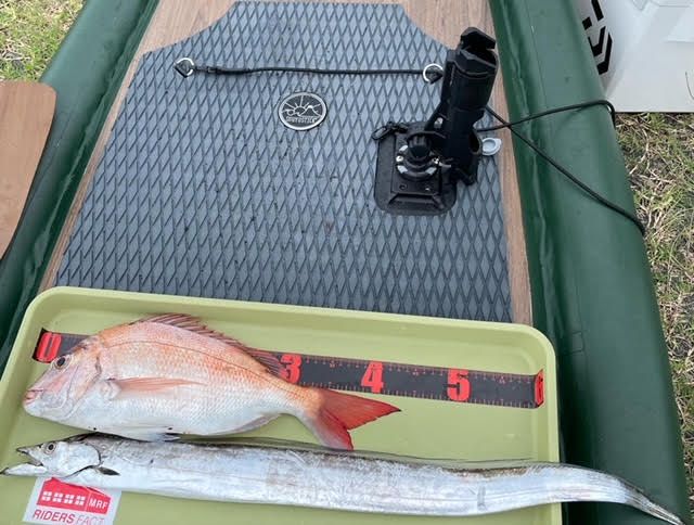 FishingLoot1 - SHOP NEWS | ムラサキスポーツオンラインストア 通販