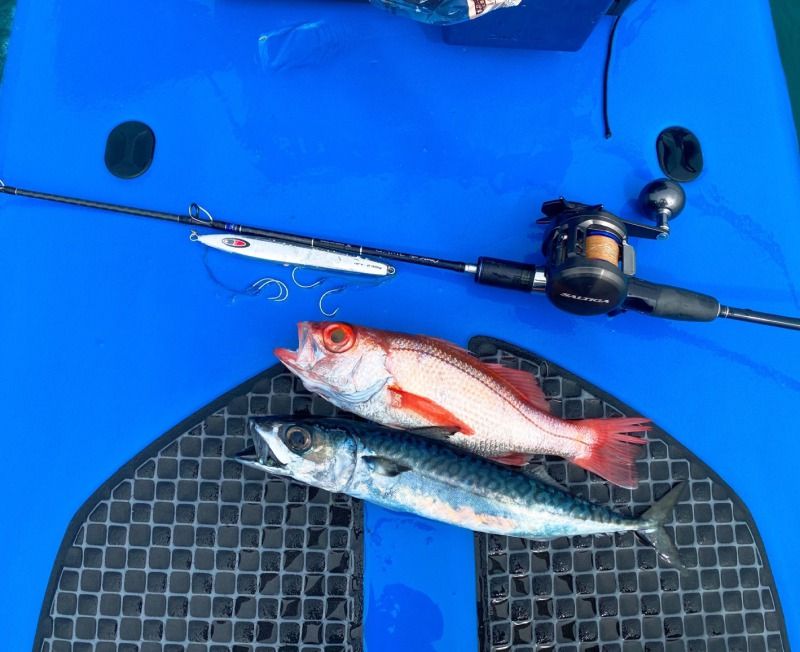 FishingLoot16 - SHOP NEWS | ムラサキスポーツオンラインストア 通販