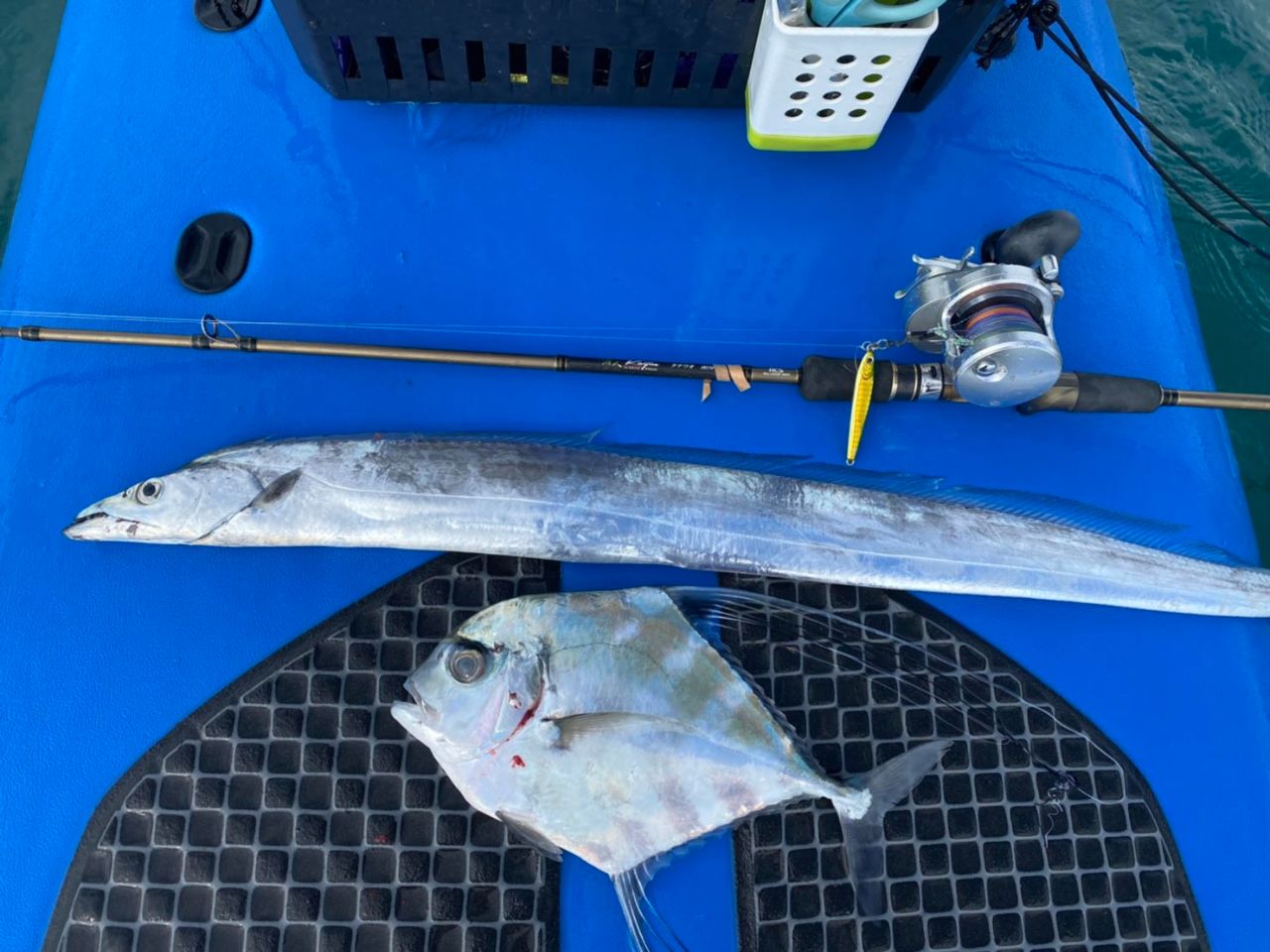 FishingLoot18 - SHOP NEWS | ムラサキスポーツオンラインストア 通販