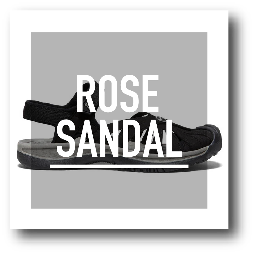rose - SHOP NEWS | ムラサキスポーツオンラインストア 通販