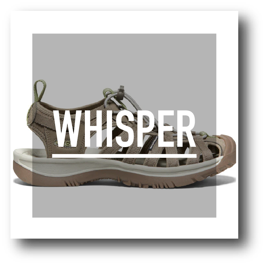 whisper - SHOP NEWS | ムラサキスポーツオンラインストア 通販