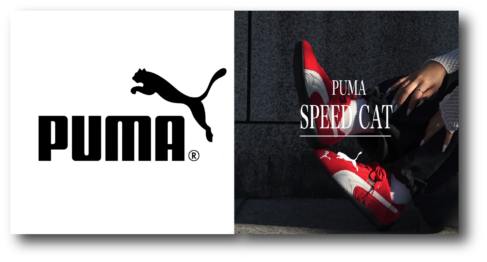 spc - SHOP NEWS | ムラサキスポーツオンラインストア 通販