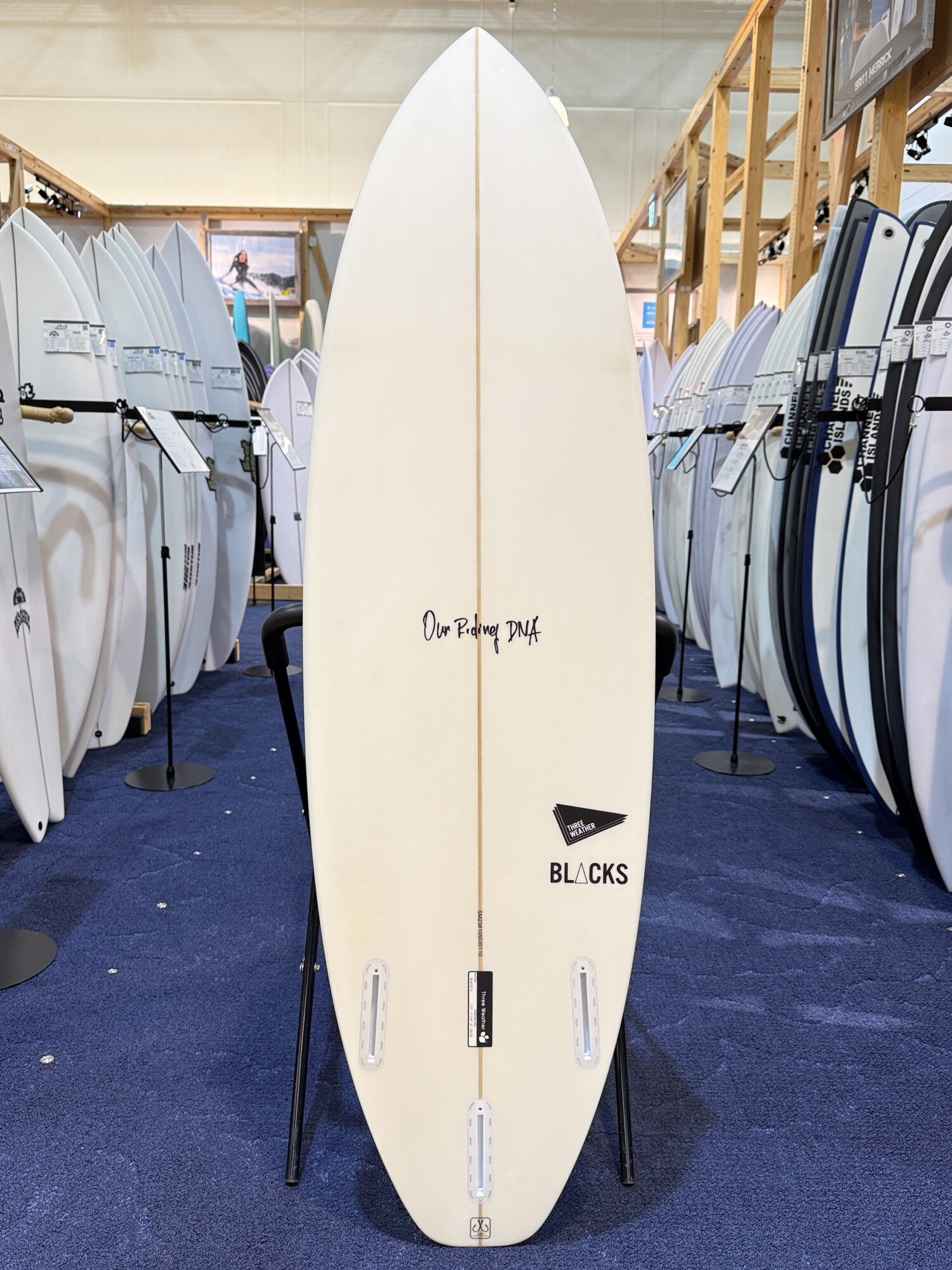 IMG_5216 - SHOP NEWS | ムラサキスポーツオンラインストア 通販