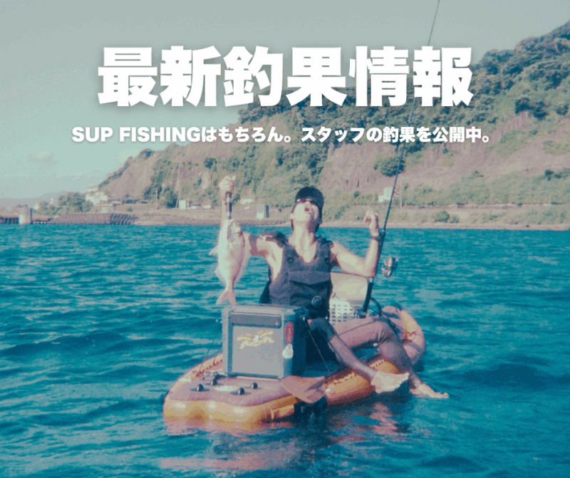 SiM×ムラサキスポーツ SIMS SNOWBOARDS シムス スノーボード 板 レディース THE SALT