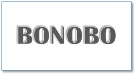 BONOBOボタン - SHOP NEWS | ムラサキスポーツオンラインストア 通販 BONOBO (bold, gray beveled lettering) logo text